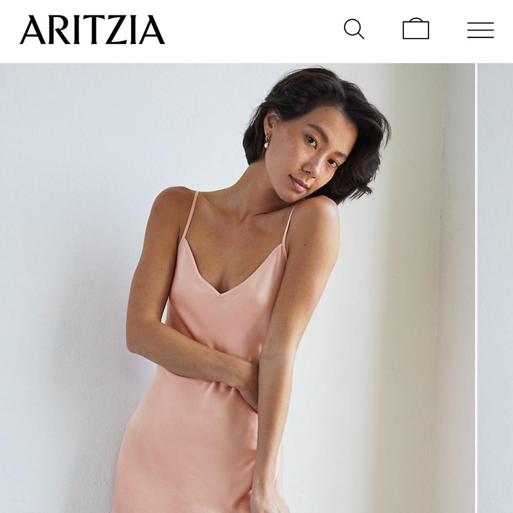 Aritzia Wilfred Only Slip Dress